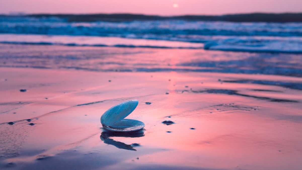 Le Spiagge più Belle di Cala Gonone: Un Paradiso da Scoprire