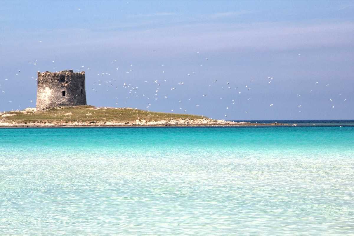 Spiaggia di La Pelosa al tramonto, con vista sull'Asinara