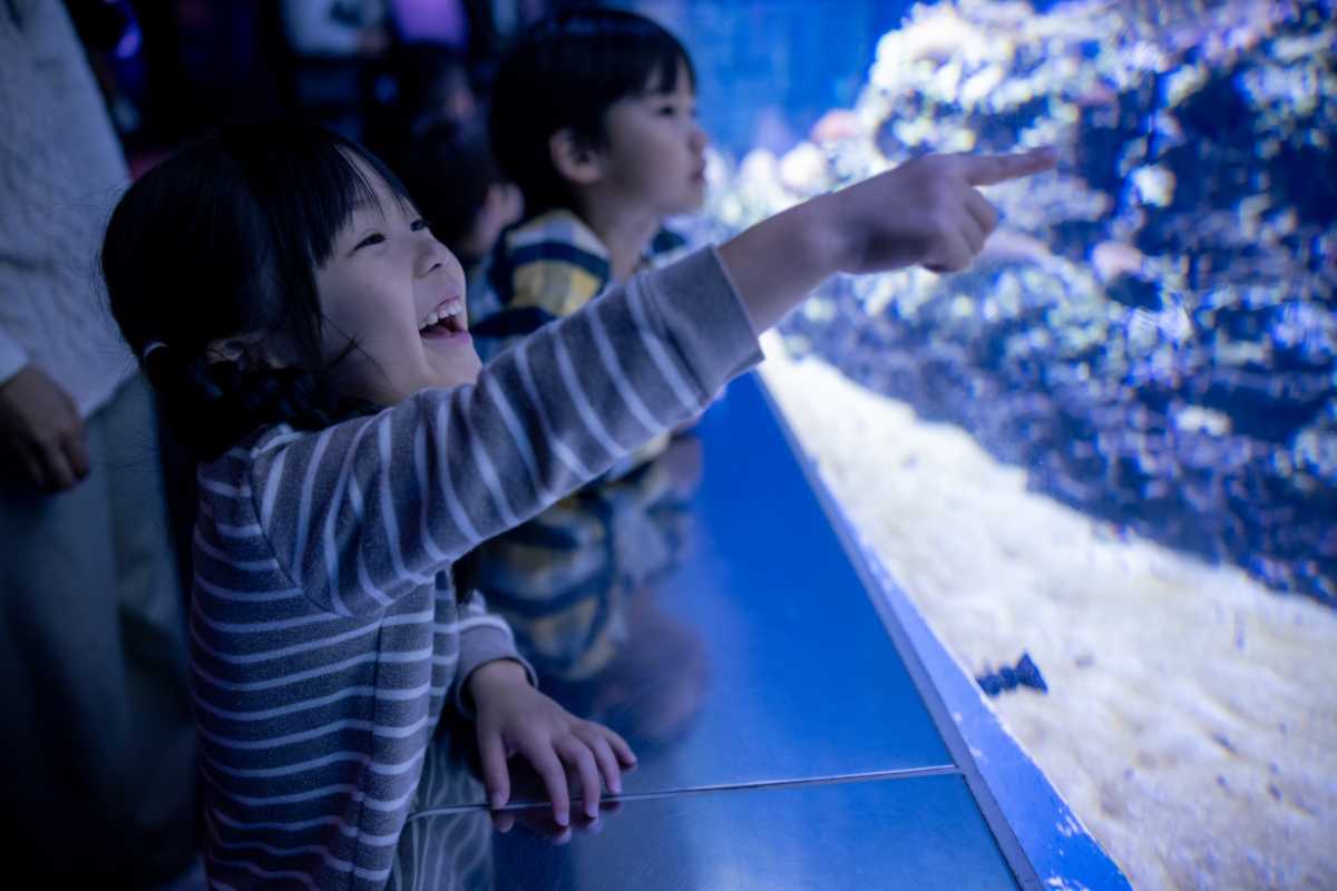 Bambini che visitano l'acquario di Cagliari, osservando pesci colorati