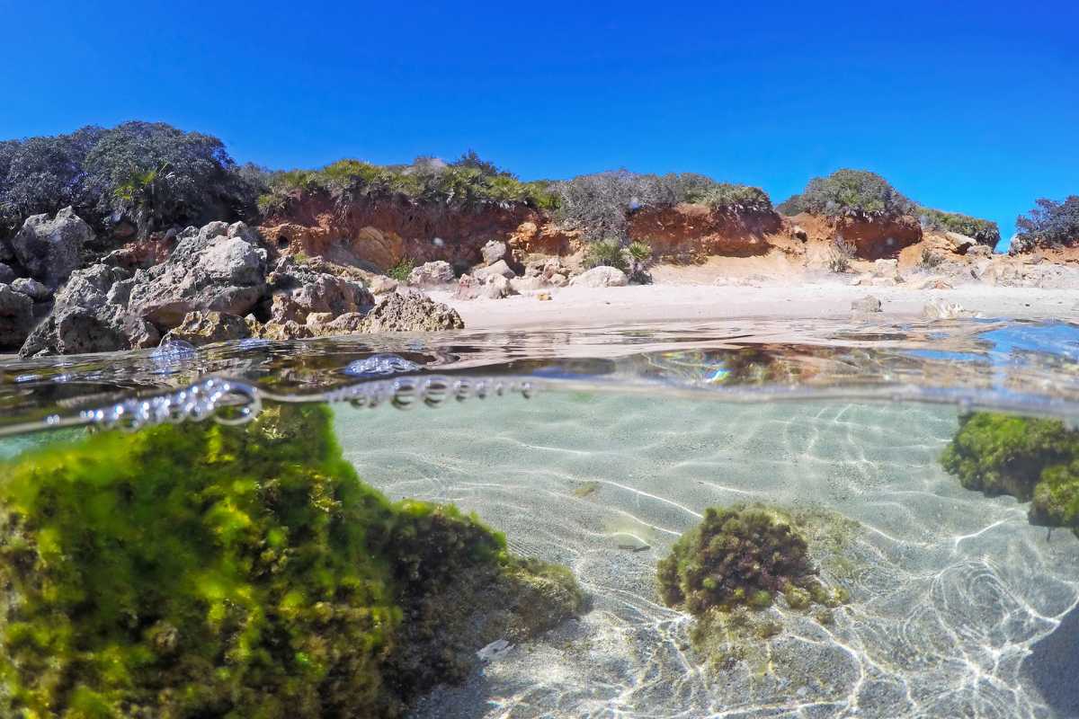 Veduta panoramica di Alghero con i bastioni e il mare